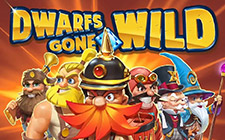 Игровой автомат Dwarfs Gone Wild